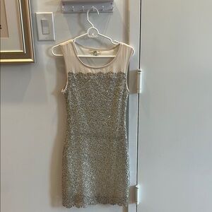 Elegant Silver Lace Dress